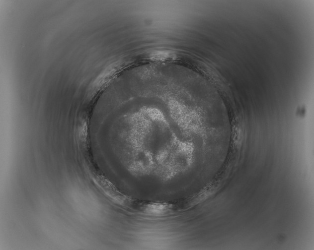 X0000114180375200911051556