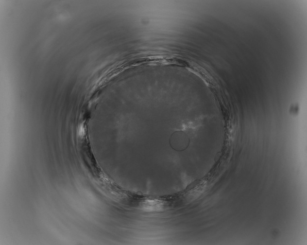 X0000114180376200911051556