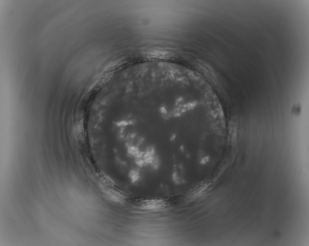 X0000114180377200911051556