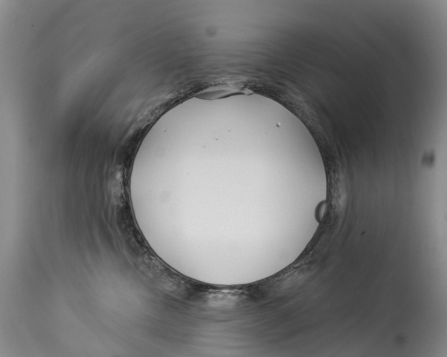 X0000114180378200911051556