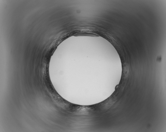 X0000114180379200911051556