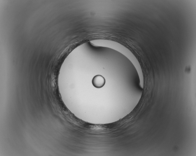 X0000114180380200911051556