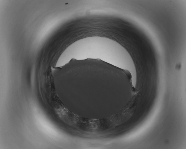 X0000114180382200911051556