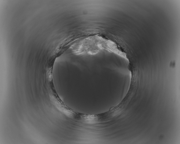 X0000114180383200911051556