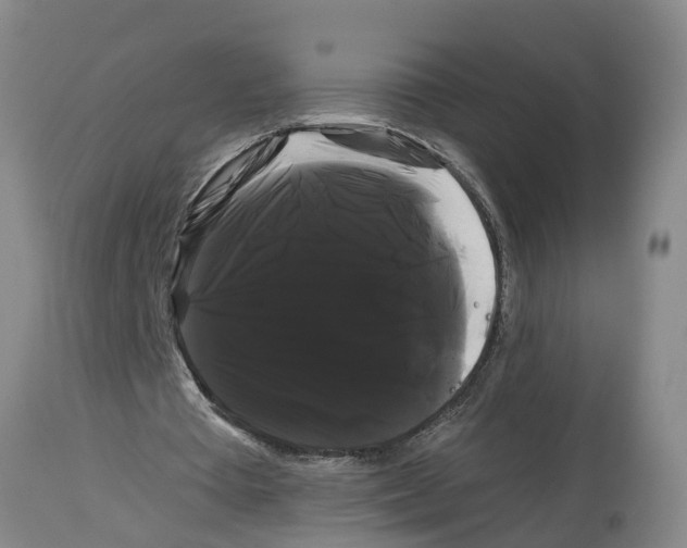 X0000114180385200911051555