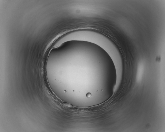 X0000114180387200911051555