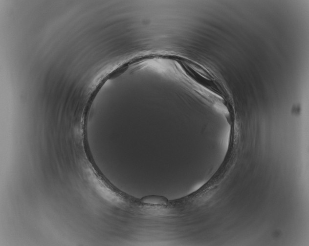 X0000114180389200911051555