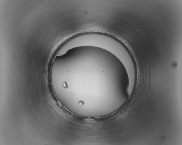 X0000114180391200911051555