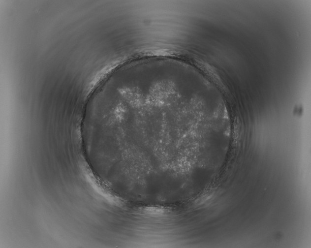 X0000114180394200911051555