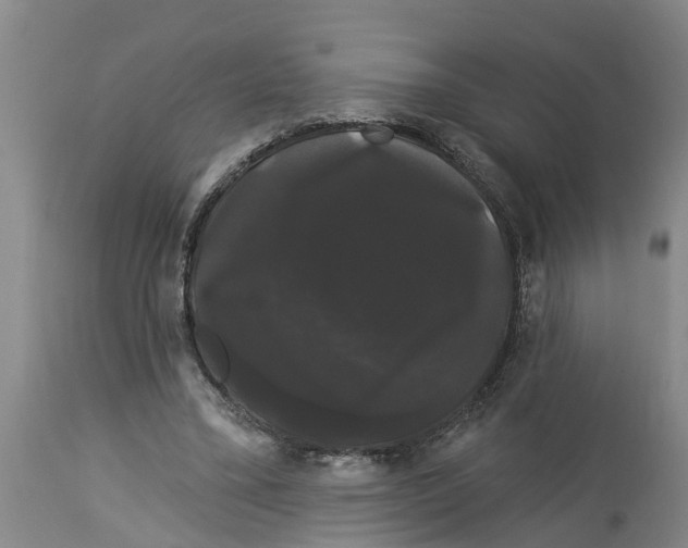 X0000114180395200911051555