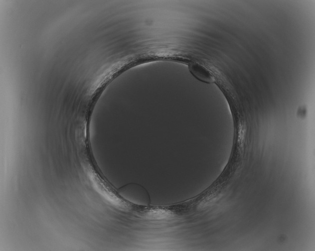 X0000114180397200911051555