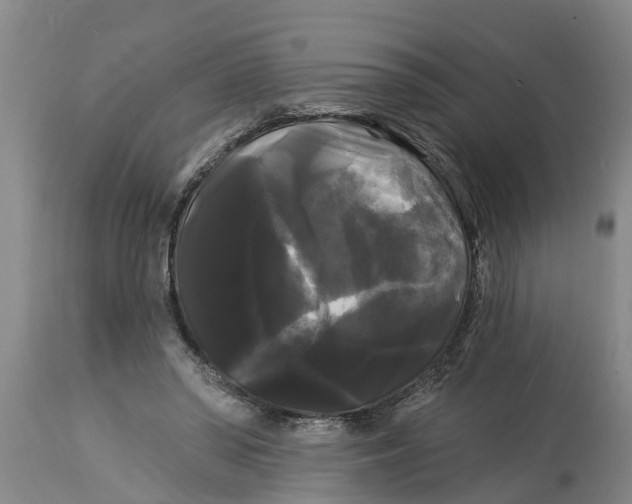 X0000114180398200911051555