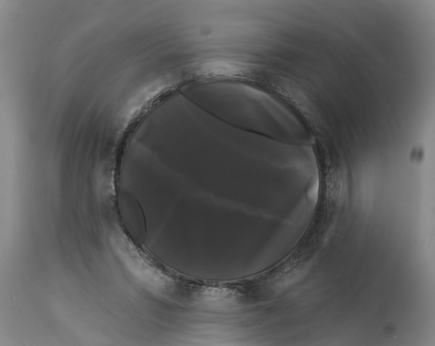 X0000114180399200911051555