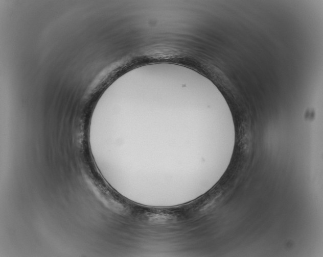 X0000114180400200911051555