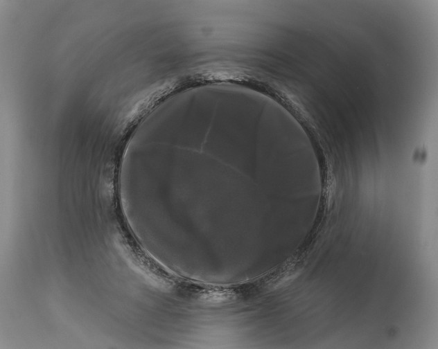 X0000114180402200911051555