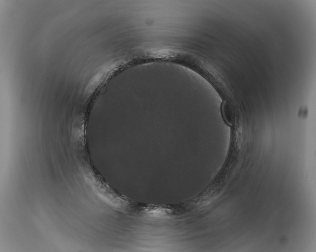 X0000114180407200911051555