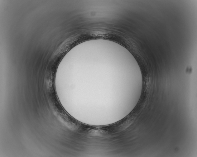 X0000114180408200911051555