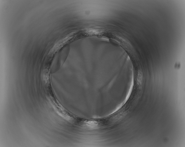 X0000114180409200911051555