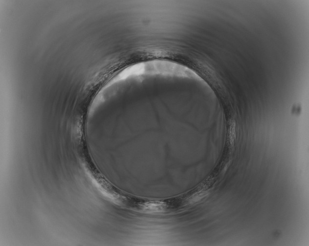 X0000114180410200911051555