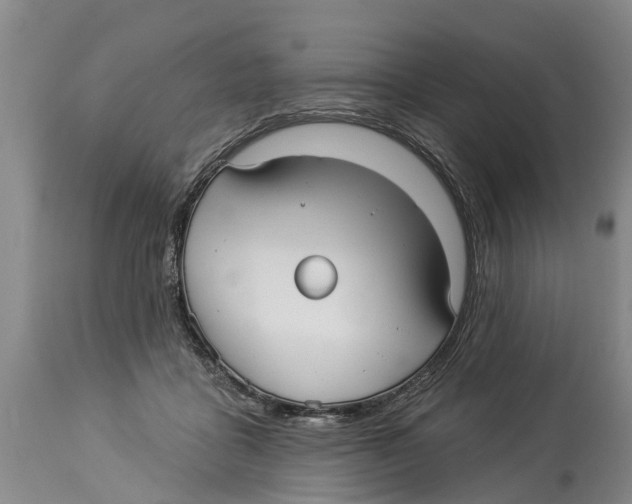 X0000114180411200911051555