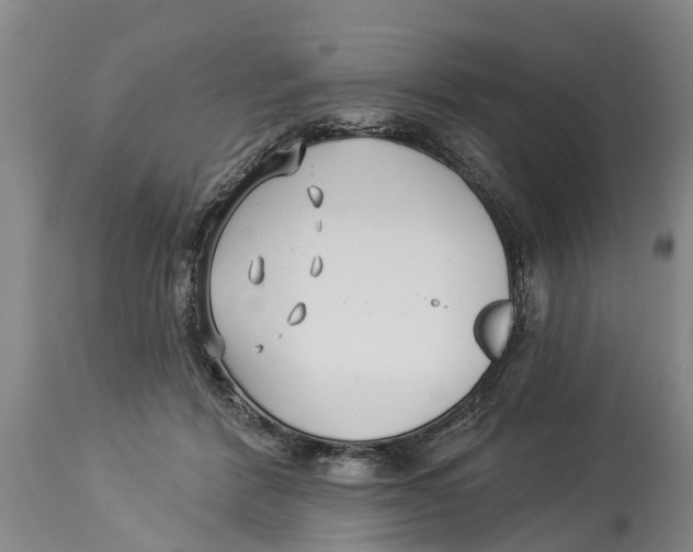 X0000114180412200911051555