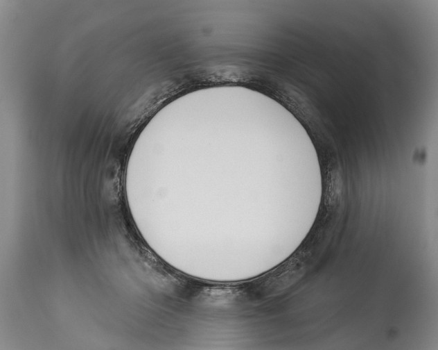 X0000114180414200911051555