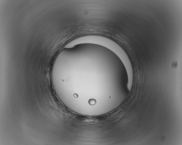 X0000114180415200911051555