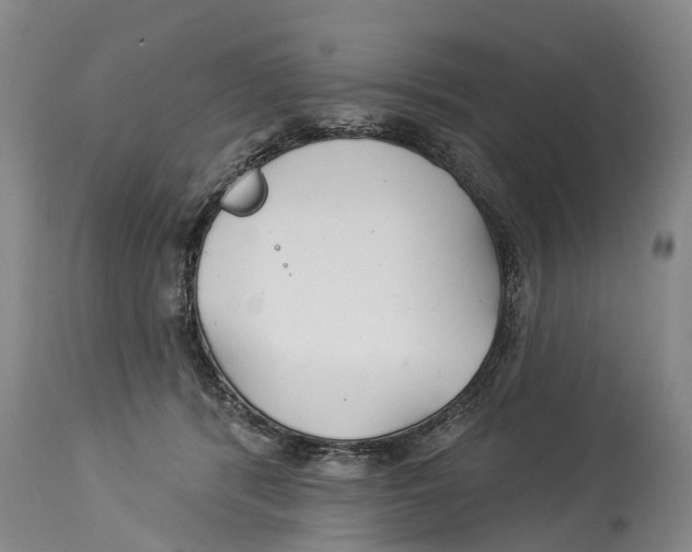 X0000114180416200911051555