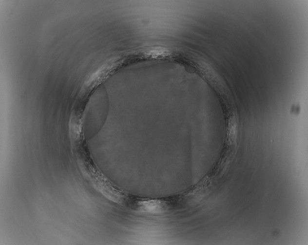 X0000114180417200911051555