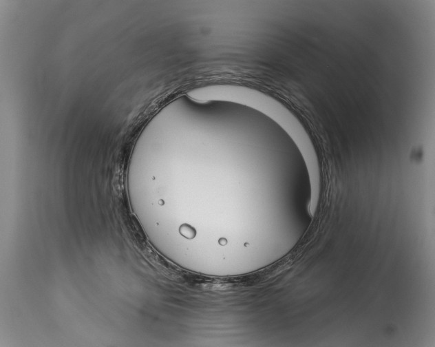 X0000114180419200911051555