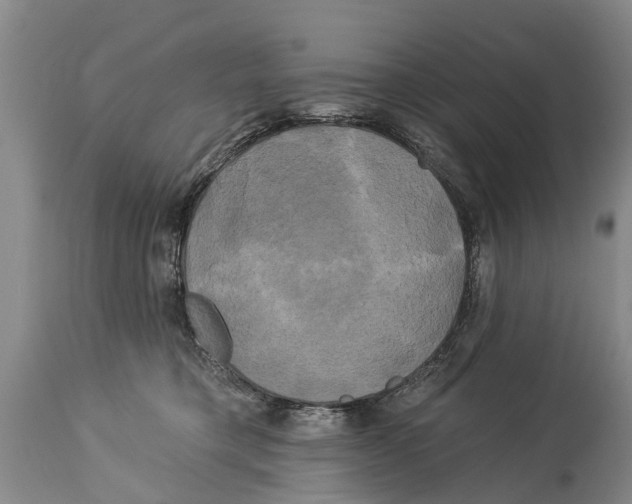 X0000114180421200911051554