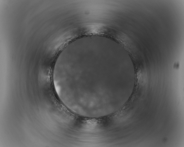 X0000114180423200911051554