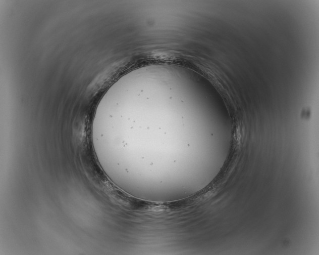 X0000114180424200911051554