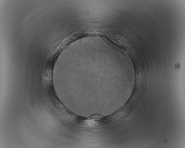 X0000114180425200911051554