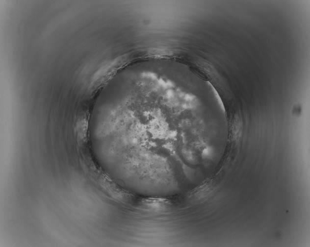 X0000114180427200911051554