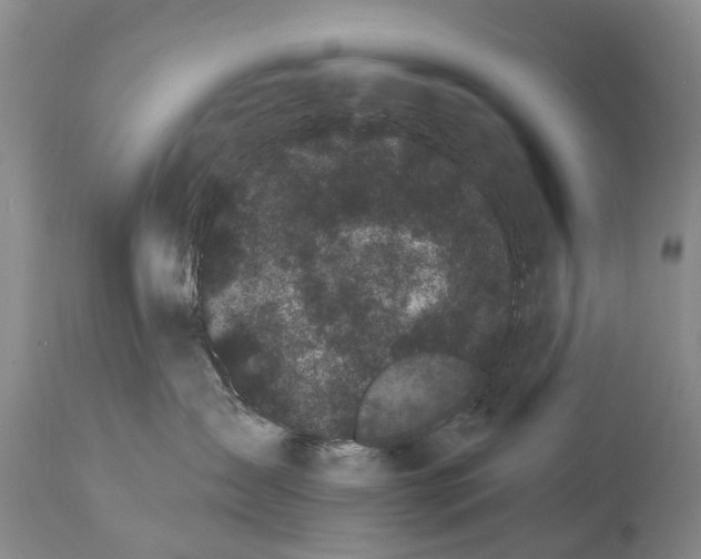 X0000114180431200911051554