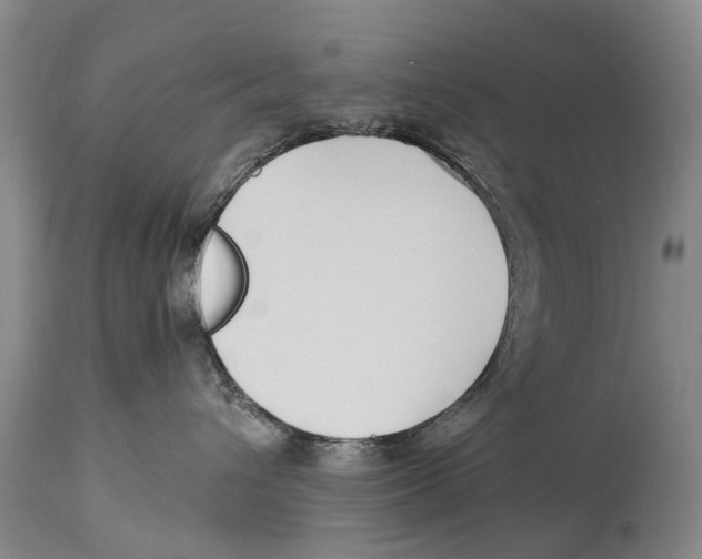 X0000114180432200911051554