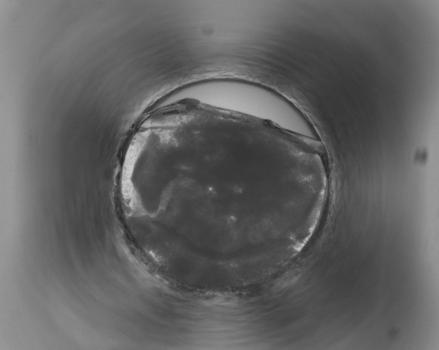 X0000114180434200911051554