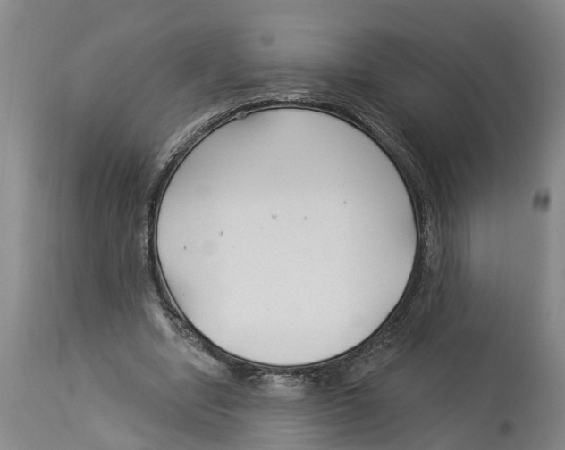 X0000114180442200911051554