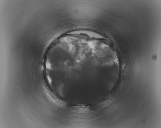 X0000114180443200911051554