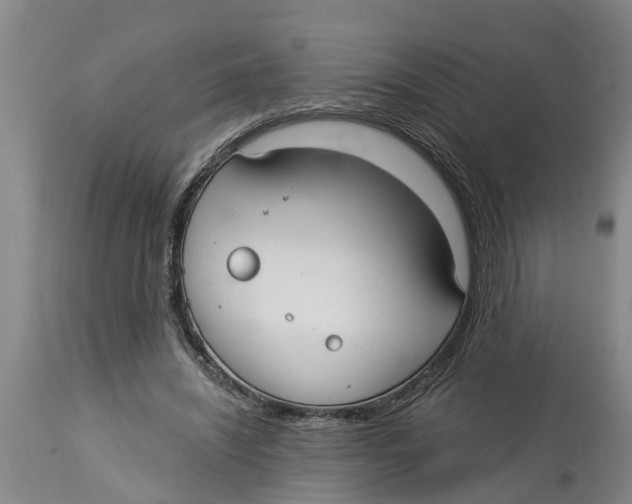 X0000114180444200911051554