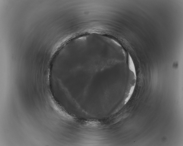 X0000114180446200911051554