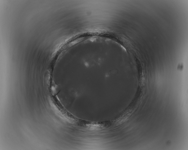 X0000114180448200911051554