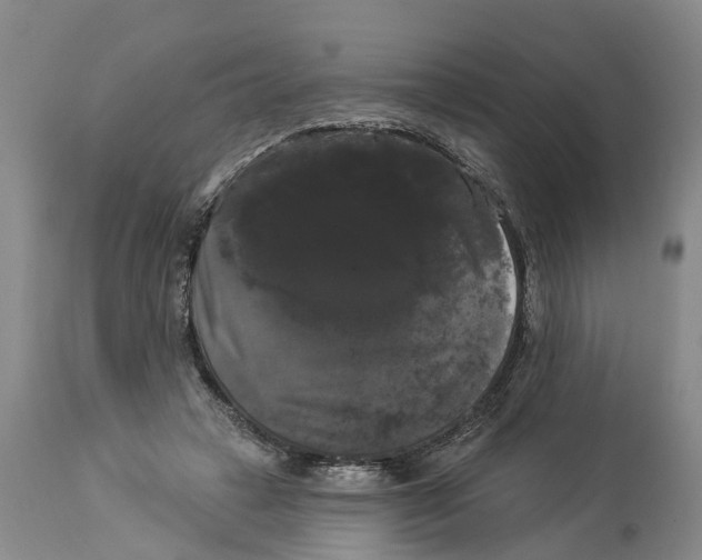 X0000114180449200911051554