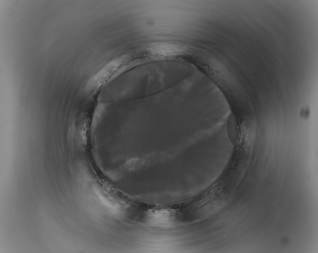 X0000114180452200911051554