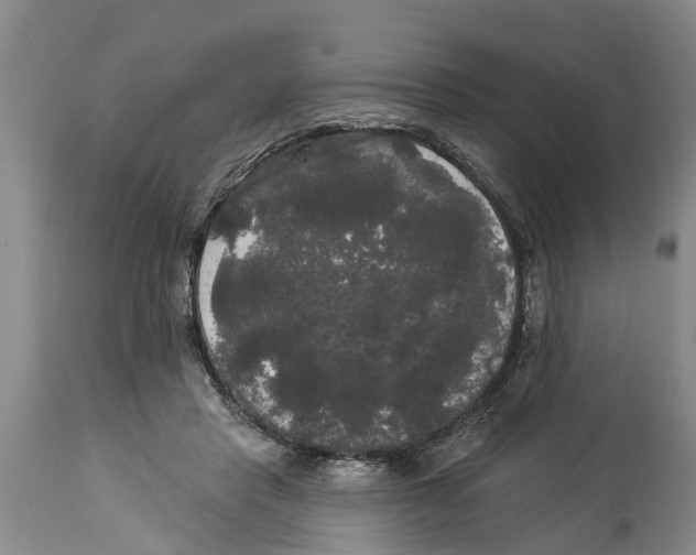 X0000114180453200911051554