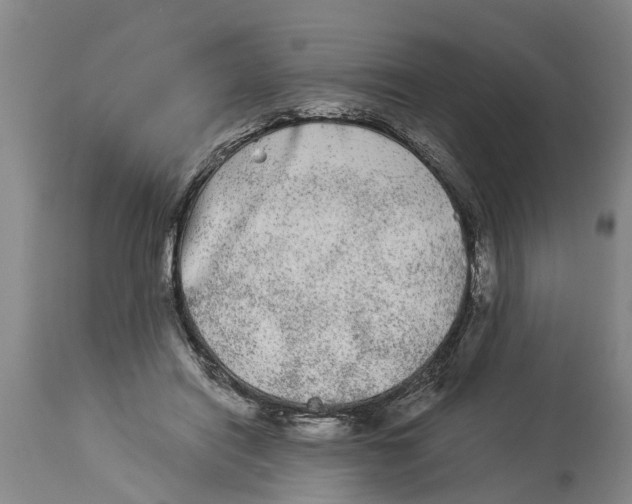 X0000114180454200911051554