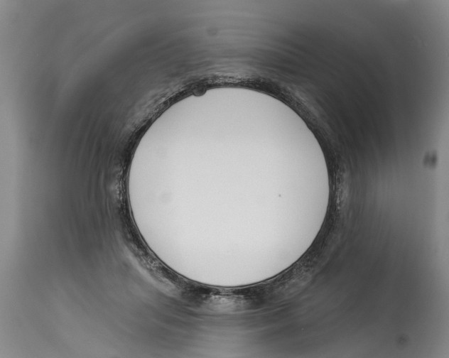 X0000114180455200911051554