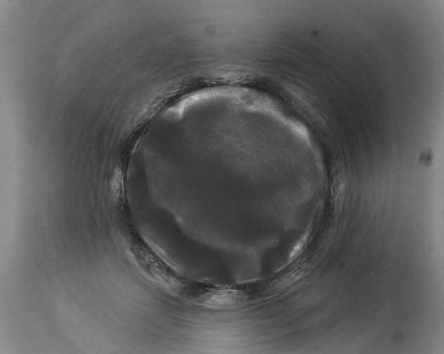 X0000114180459200911051554