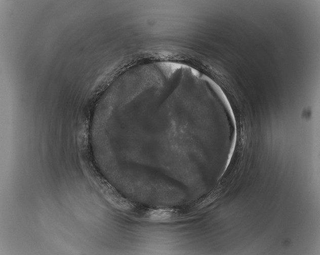 X0000114180461200911051554